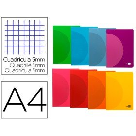 Caderno Agrafado 360 Capa de Plastico Din A4 48 F 90 Gr 5Mm com Dupla Margem Cores Sortidas