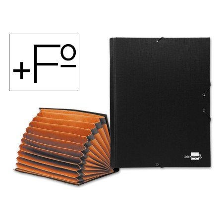 Pasta Classificadora com Fole Paper Coat Preta 12 Departamentos