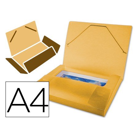 Pasta Portadocumentos com Elasticos Polipropileno Din A4 Laranja Serie Frosty Lombada 25 Mm