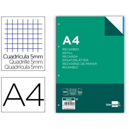Recarga Din A4 100 F 100 Gr Quadricula5 Mm Sem Margen 4 Furos Bandas de 5 Cores