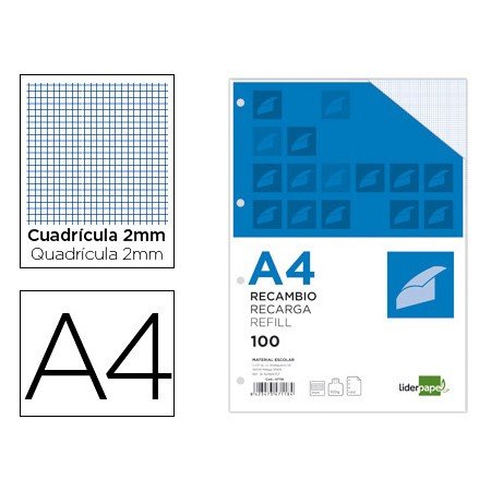 Recarga Din A4 100 Folhas 100G/M2 Quadricula 2Mm com Margem 4 Furos