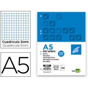 Recarga Din A5 100 F 100 Gr Quadriculado