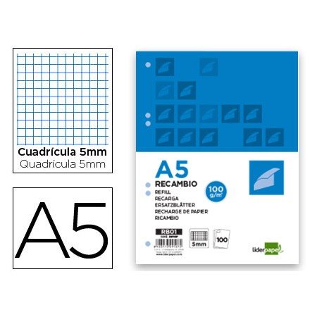Recarga Din A5 100 F 100 Gr Quadriculado
