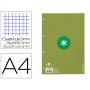 Recarga Colada Antartik Quadricula 5Mm Din A4 80 F 90 Gr 4 Furos 1 Banda Moldura Cor Menta