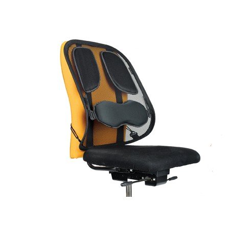 Apoio Lombar Fellowes Profissional Ergonomico Ajustavel Verticalmente