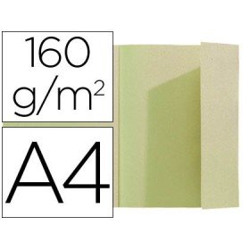 Classificador Exacompta Din A4 Verde 160 Gr com Aba Interior
