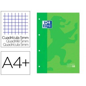 Recarga Cor 1 Oxford Din A4+ 80 Folhas 90 Gr Quadricula 5 Mm 4 Furos Cor Verde Maca