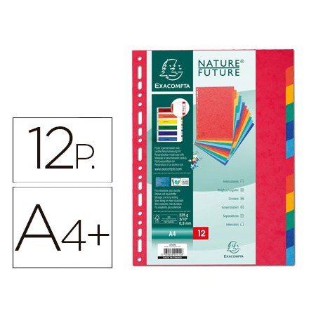 Separador Exacompta Cartolina Conjunto de 12 Separadores de Cores Din A4+ Multiperfurado