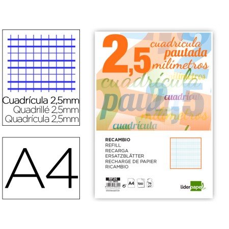 Recambio Folio 100 H 4 Taladros 70 Gr Cuadriculado Pautado 2,5 Mm Con Margen