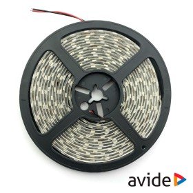 Fita 600 Leds 2835 6400K 24V 24W/M 5M Ip65 Avide