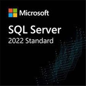 Microsoft SQL Server Standard 2022 - ESD