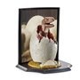 The Noble Collection Toyllectible Treasures Jurassic Park Ovo para incubação Raptor - Tamanho 15x17x19cm