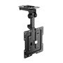 Suporte de teto giratório/dobrável Aisens CT43S-187 para TVs de 19 a 43 polegadas/até 20 kg