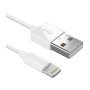 Carregador + Cabo Apple Lightning para USB 1m