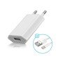 Carregador + Cabo Apple Lightning para USB 1m