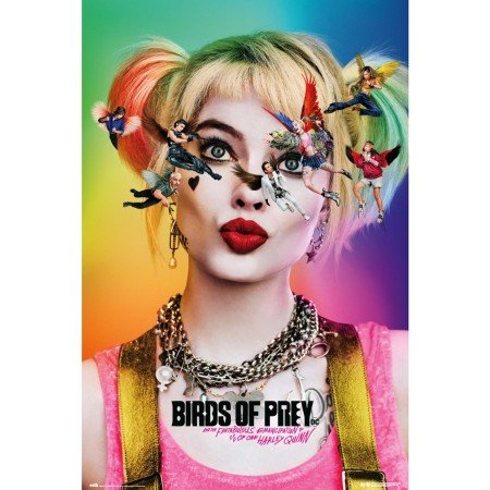 Cartaz aves de rapina atordoadas e confusas harley quinn