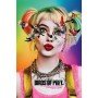 Cartaz aves de rapina atordoadas e confusas harley quinn