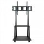 Suporte de chão TooQ para telas (monitor / plasma / LCD / LED) 37" - 100"