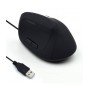 Ewent EW3157 mouse mão direita USB tipo A Ótico 1800 DPI