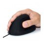 Ewent EW3157 mouse mão direita USB tipo A Ótico 1800 DPI