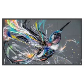 PHILIPS 75" Q-LINE MONITOR / IPS D-LED PANEL 16:9 / 3840X2160 400CD/M2 / 8MS / PIXEL PITCH 0,429X0,429 / VESA 600X400/M8 / SOC M