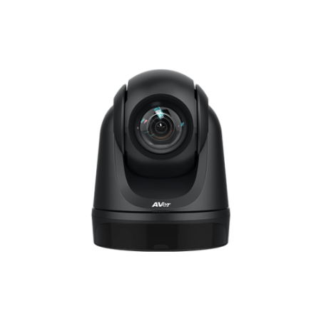 Webcam AVer DL30 2 MP 1920 x 1080 pixels USB Preto