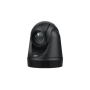 Webcam AVer DL30 2 MP 1920 x 1080 pixels USB Preto