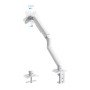 Suporte para monitor TooQ DB4032TNR-W 81,3 cm (32") Braçadeira/Parafuso Branco