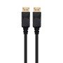 Ewent EC1411 Cabo DisplayPort 2 m Preto