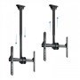 Suporte para display de sinalização TooQ LPCE1170TSLI-B 177,8 cm (70") Preto