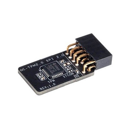 Módulo Tpm Gigabyte Gc-Tpm2.0 Spi 2.0