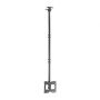 Aisens CT43TSE-053 Suporte de teto giratório/inclinado/extensível para TV de 23-43"/ até 50kg